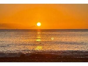 Annonce bien à vendre