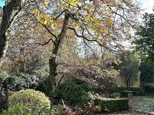 Vente Maison à Rezé (44400) : à vendre / 118m² Rezé