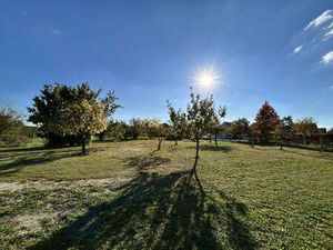 Vente Terrain à Juigne-sur-Loire (49610) : à vendre / Juigne-sur-Loire