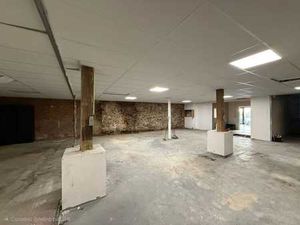 espace commercial + hangar