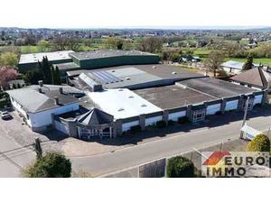 Lager  Büro oder Verkaufshalle in optimaler Lage