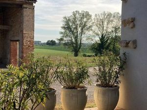 Grange au calme - entre Albi et Gaillac