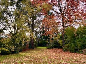 Terrain 424 m² Bordeaux