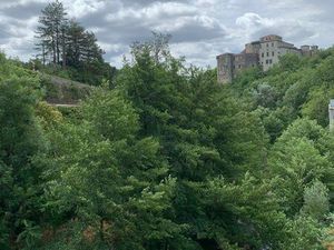 Cherche local à louer