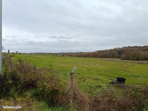 Prairie pour cheveux