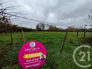 Terrain à vendre - 3638 m2 - Montipouret - 36 - CENTRE