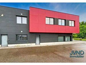 Local d'activités à louer