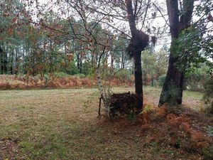 VOULYZE Francine Capifrance