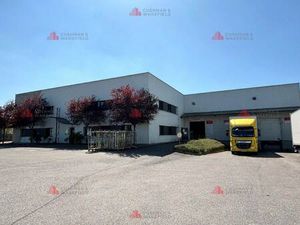 Local d'activités à louer