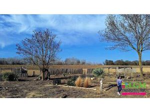 Terrain champêtre/forestier à vendre