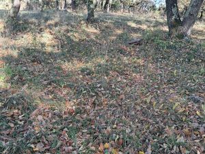 Terrain de loisirs sur issirac dans le gard