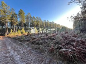 Vente terrain 11400 m² à Saint-Léger-de-Balson (33113)  13 000 €