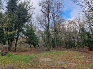 Vente terrain à batir 767 m² à Chasteaux (19600)  26 000 €