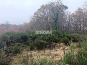 Vente terrain 2247 m² à Sanilhac (24660)  44 000 €