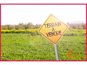 Vente terrain 1131 m² à Penin (62127)  61 500 €