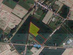 Belle Terre agricole  plane et à route