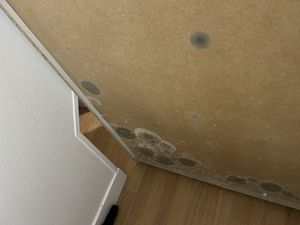 LIVRY GARGAN - SPACIEUX F2 DE 52M2 AVEC BALCON ET ASCENSEUR