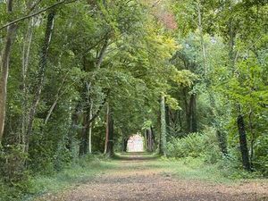 Bois a vendre de 26 ha avec tres beau pavillon de chasse-1h30 porte de la chapelle par A16