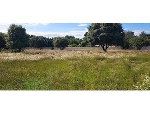 Vente terrain 459 m² à Courthézon (84350)  129 000 €