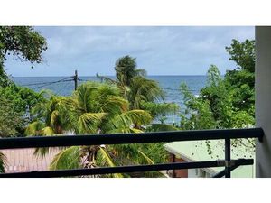 DIAMANT / BEAU T2 meublé avec vue mer et parking