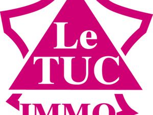 MONTBRISON CENTRE MURS COMMERCIAUX DE 90 M2 AVEC COUR