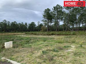 Terrain au calme en lisiere de foret