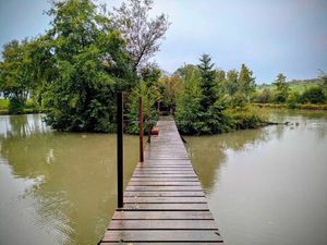 Vente terrain 17430 m² Parey-sous-Montfort (88800)