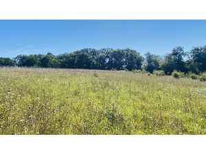 Terrain hors lotissement - viabilité en bord de route - 1900