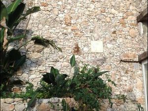 Maison duplex avec cheminée dans propriété privée à l’année sur olmeto