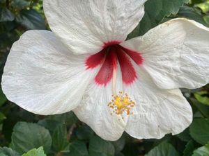 Retraités cherchent maison avec jardin