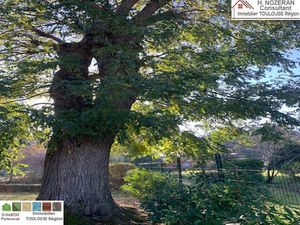 IDÉAL AMATEURS DE BELLES PIERRES SECTEUR 31240 L'UNION