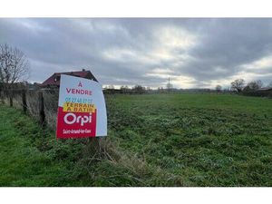 Terrain Brillon m² T- à vendre  130 000 €