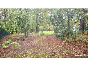 Terrain 1 000 m² Parentis En Born