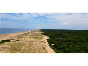 Exceptionnel ! Terrain constructible de 950m² arboré et clos à Seignosse.