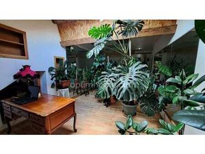 MARCHAND Aline Agent mandataire Optimhome