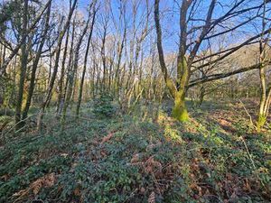 Vente Terrain à Caurel (22530) : à vendre / Caurel