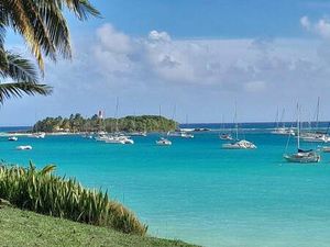 WERNER Laurence Capifrance