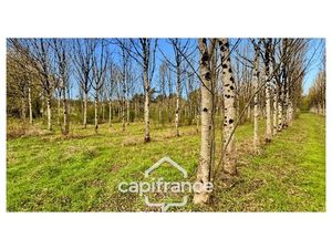 Rare sur le secteur ! Bergerie à rénover avec plus de 4 2 hectares de terrain – Monflanqui