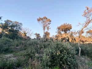 Terrain à vendre de 1 816 m2 proche de UZES (30)