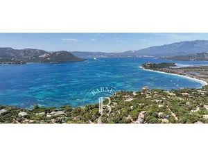 Villa de luxe de 11 pièces en vente Lecci  Corse