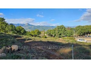 Terrain - Sari-Solenzara  France