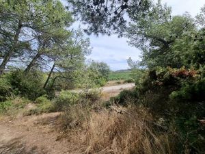 Vente terrain 2130 m² Pouzols-Minervois (11120)