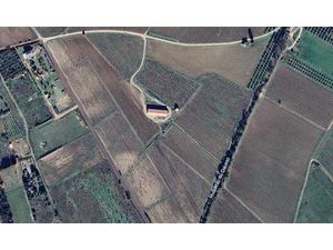 Propriété viticole