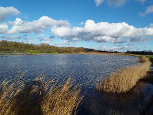 Achat Terrain 15 000m² QUEND 80120