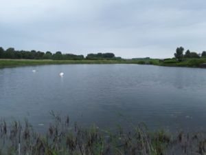 Achat Terrain 16 095m² MERLIMONT 62155