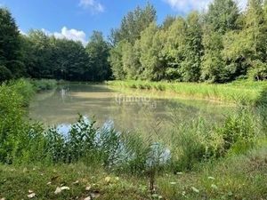 Vente plan d'eau 54480 Cirey Sur Vezouze