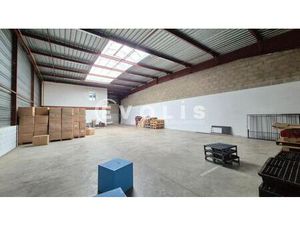 Location Local d'activités Collegien 77090