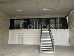 Nouveauté - La Ciotat