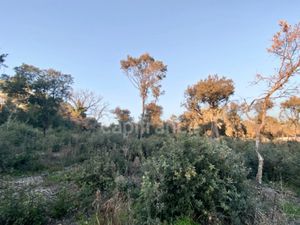 Terrain à vendre UZES 1816m2 184 000€