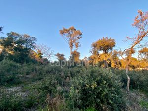 Terrain à vendre UZES 850m2 99 000€